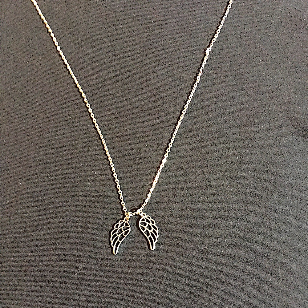 A pair of angel wings on a silver toned chain.